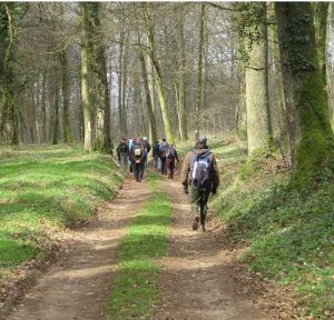 marche foret Orval saint Joseph 1