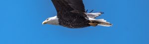 sean mcgee 634336 unsplash e1526999801846