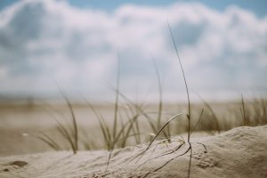 jen we 136547 unsplash