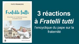 Vignette reactions Fratelli Tutti 3