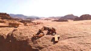 Vignette site retraite sinai 2024