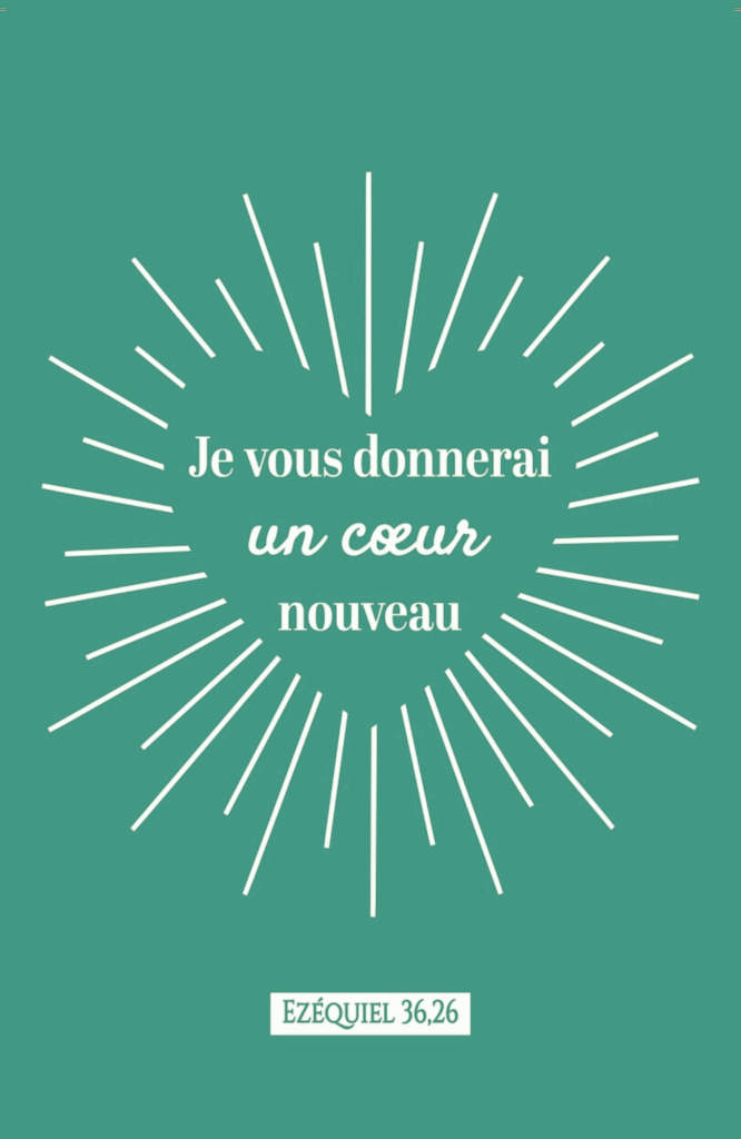 couverture CDP 2025