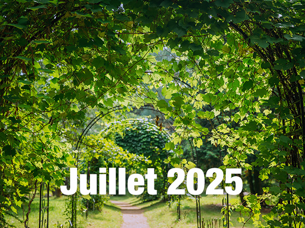 Vignette NL Educ Juillet