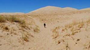 Parents seuls 2026 site